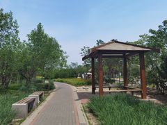 -大港湿地公园