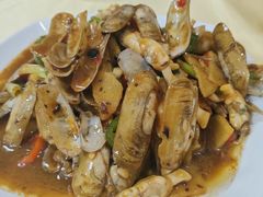 蛏子-阳江餐厅·30年老字号·粤菜海鲜大排档