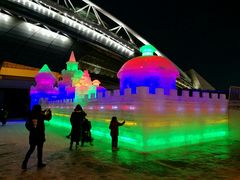 -沈阳奥体冰雪嘉年华