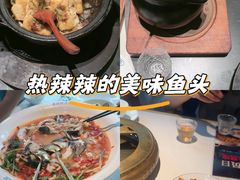 -坛宗剁椒鱼头(河西王府井店)