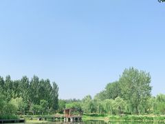 -东郊湿地公园