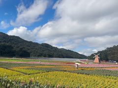 -广州市石门国家森林公园