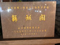 -解放阁