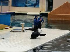 -秦皇岛乐岛海洋王国