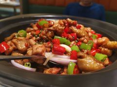 椒麻肥肠鸡-刘胖子家常菜·蹄花焖藕(兴业店)