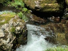 -龙苍沟森林公园