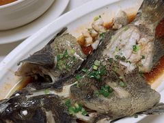 -映像威海·威海宴(威高广场店)
