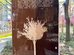 -陆家嘴中心绿地