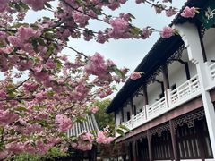 -求雨山文化公园