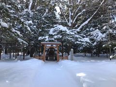 -北海道神宫