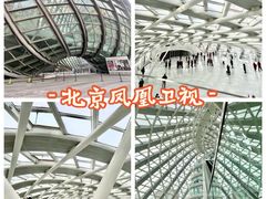 -凤凰中心