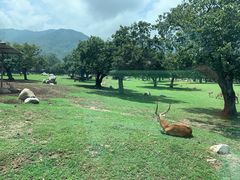 -西安秦岭野生动物园