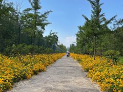 -森林公园(尖草坪区)