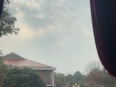 -橘洲1910花园江景西餐厅