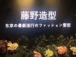 点击看大图 -藤野造型