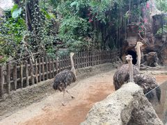 -长鹿旅游休博园