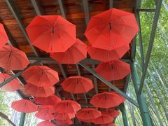 -陶祖圣境风景区