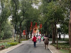 -东湖落雁景区