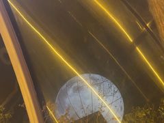 -巴倒烫陆派火锅山庄(南山总店)