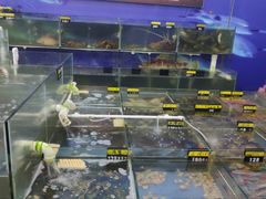 海鲜池-明记海鲜大排档(巽寮湾店)