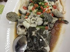 -粤盛海鲜平价店(洛溪食街店)