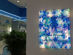 -吴山山·椰子酸奶(天河南店)