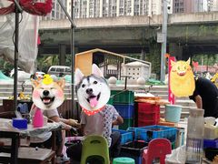 -庾氏龙虾馆(多弗汇店)