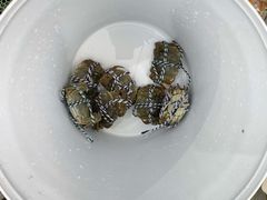 -青石桥市场北1-27号