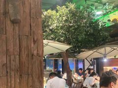 -三强鸽子(中原路店)