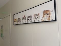 -美联众合动物医院·24h京西诊疗中心