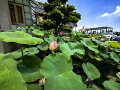 -广州莲花山旅游区