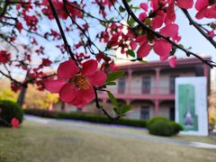 -上海交通大学董浩云航运博物馆