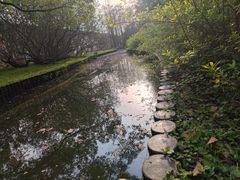 -上海共青森林公园