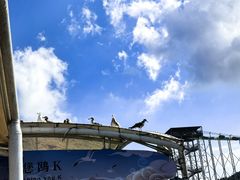 -海驴岛(荣成市)