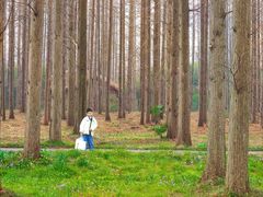 -黄海国家森林公园