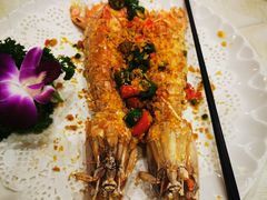 -有腥气私房菜·寻味顺德