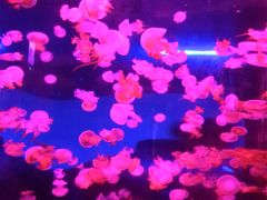 -杭州海底世界