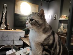 -咖法森林·咖啡  酒吧(天河店)