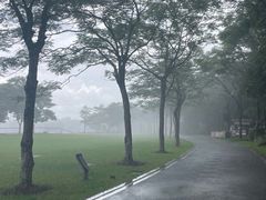-海珠湖公园