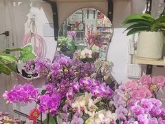 -FEI FEI FLOWER鲜花店·气球派对·宝宝宴布置(虹口德必运动Loft店)