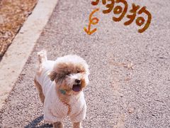 -广富林郊野公园