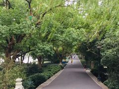 -苏堤停车场