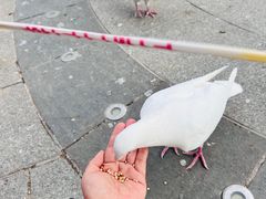 -南宫五洲植物乐园