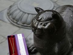 -西安大兴善寺