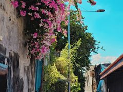 -槟城街头艺术街区