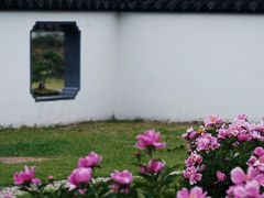 -扬州大运河文化旅游度假区·盆景园