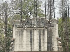 -音乐台