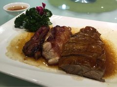 宝园酒家-宝园酒家(美林M·LIVE天地东座店)