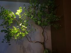 -唐宫足道·SPA·住宿24H会所(木渎店)