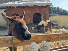 -HERRE·FARM 赫尔露营农场·团建聚会包场